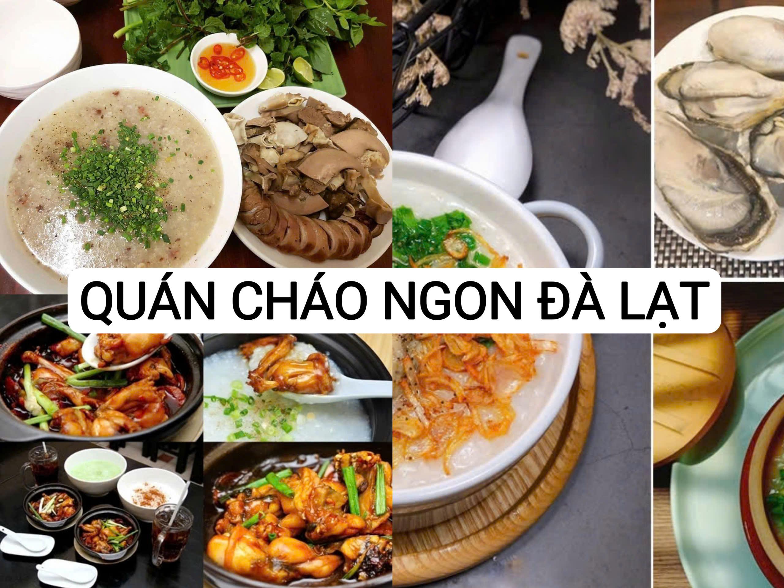 Khám Phá Những Quán Cháo Ngon Tại Đà Lạt